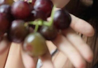 988.su–我在黑料里“玩耍”，永不迷路，可我这条心还是抹不去的怅然。