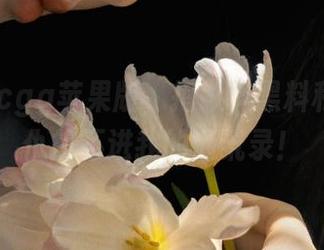 cgg苹果版，抱歉，黑料和爱恨情仇挤不进我的通讯录！