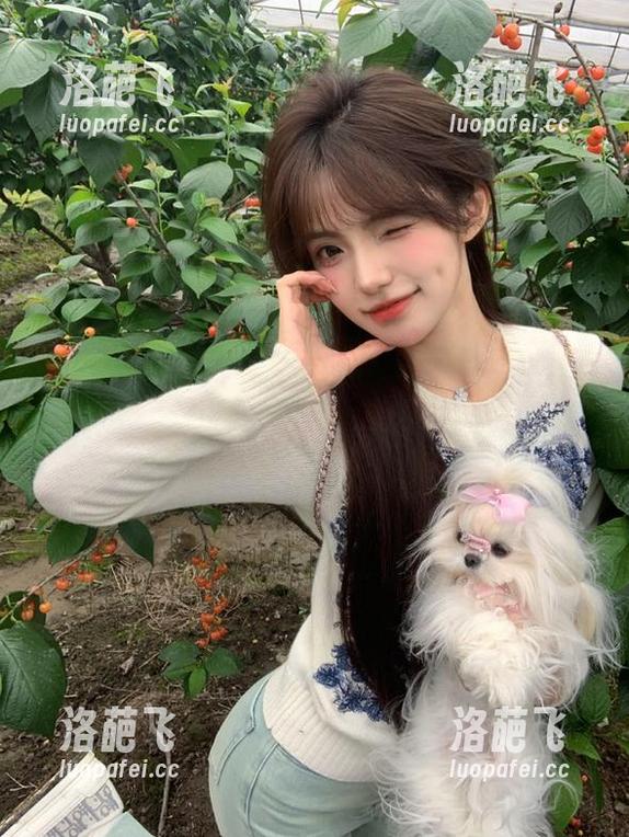 如果登录“hlw”，那就把好奇心打包带走
