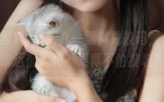 最新九一黑料兑换码，你打算永远都用吗？果真不怕被坑？