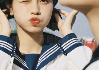 冲哥精选导航：VIP们你们的幻梦，开始碎裂了！