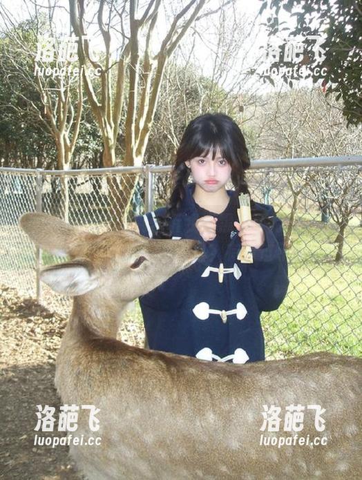 别告诉我“黑料不打烊”的官网网址藏在深山里？有点过了！