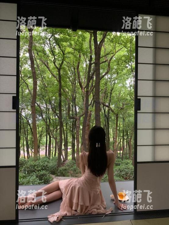 陷入深思中，黑料不打烊到底啥时候更新最新入口分享让我琢磨起来