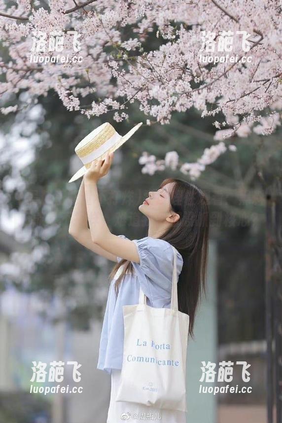 尝试理性观看：黑料正能量不打烊，难道我们都没抓到核心？
