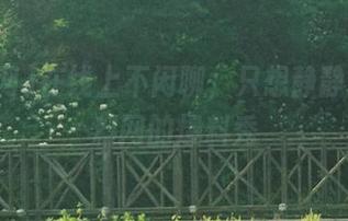 在线上不闲聊，只想静静观看黑料网的爆料秀